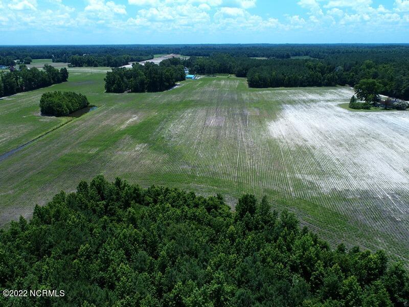 0 Marietta Road Fairmont, NC 28340 - Photo 8 of 16 7