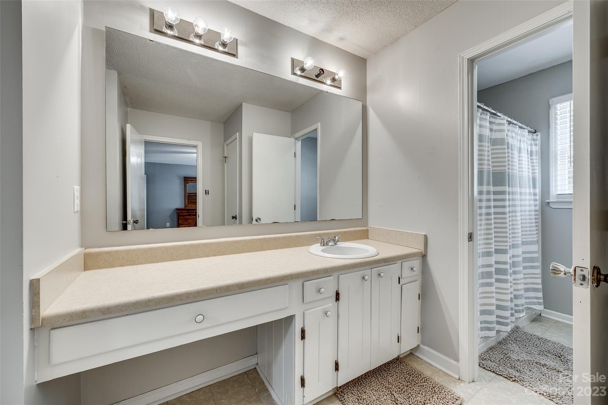 16064 Taku Court Tega Cay, SC 29708 - Photo 19 of 31 a bathroom with a sink and a mirror