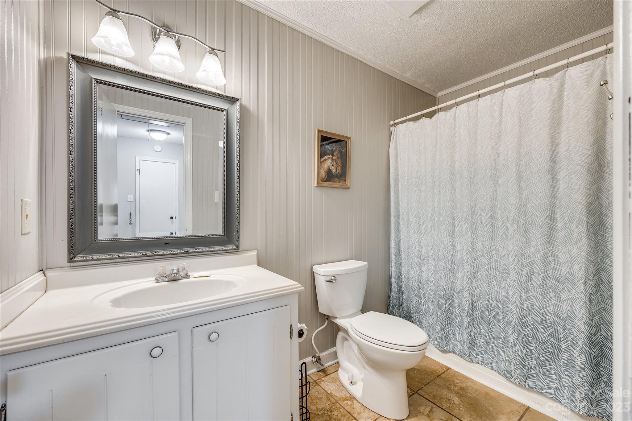 16064 Taku Court Tega Cay, SC 29708 - Photo 25 of 31 a bathroom with a toilet a sink and a mirror