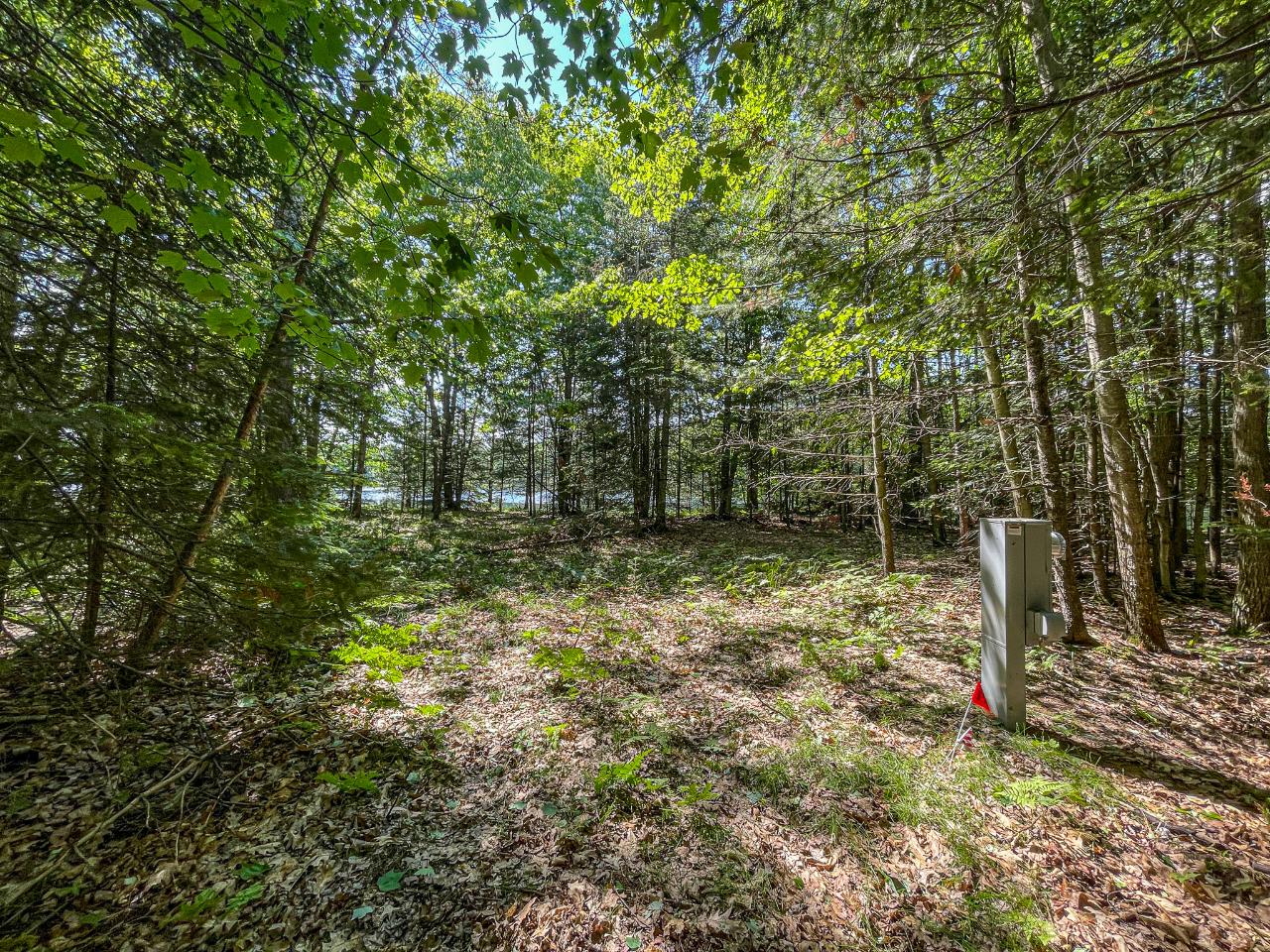 1207 South Little Bass Lake Road Eagle River, WI 54521 - Photo 12 of 47 Gallery Image 12