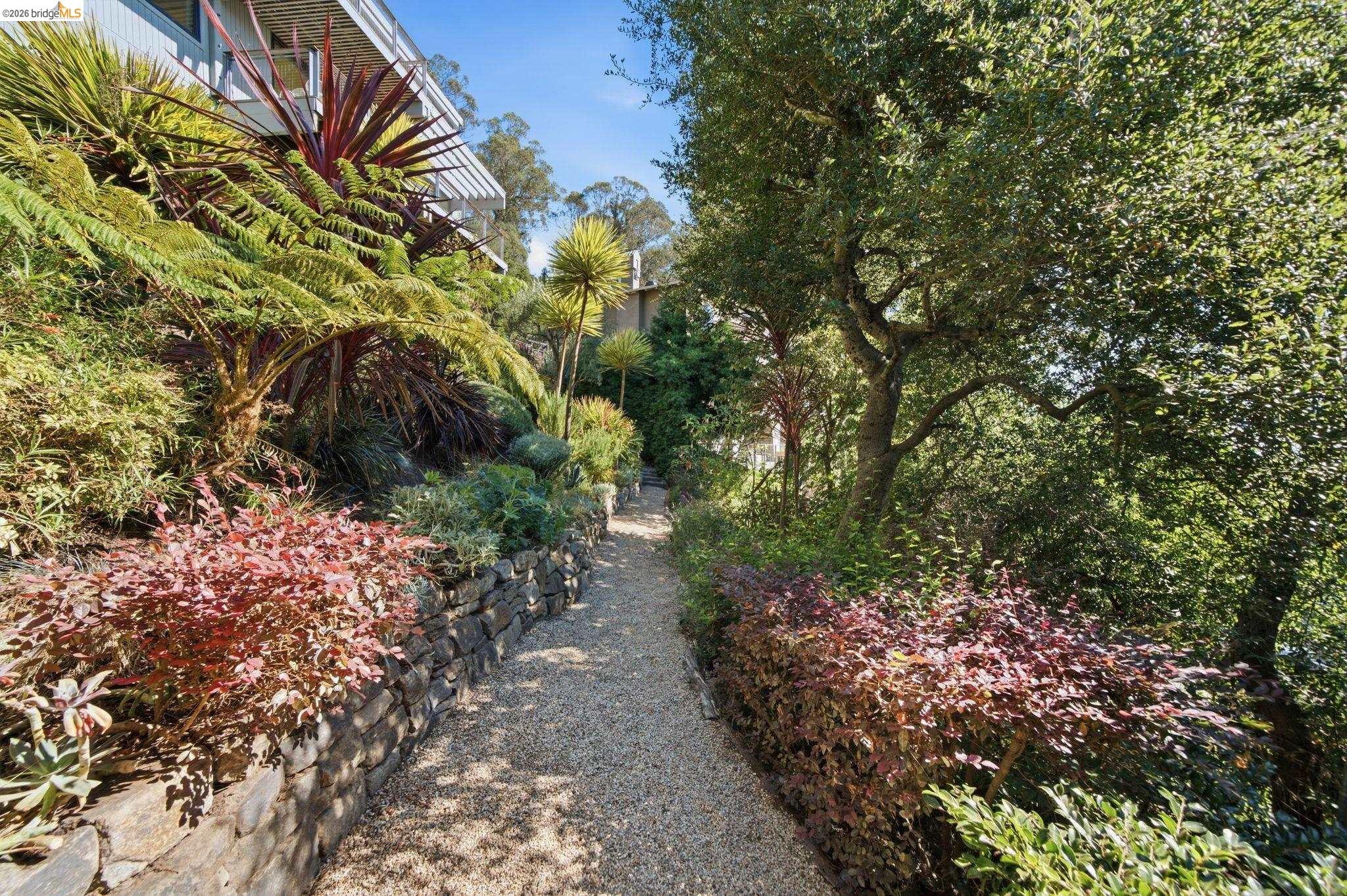 2877 Buena Vista Way Berkeley, CA 94708 - Photo 43 of 56 Gallery Image 43