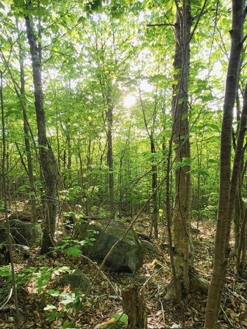 11 South Oakfield Road Houlton, ME 04730 - Photo 12 of 22 Resized_20230530_184315