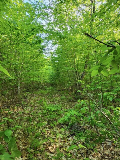 11 South Oakfield Road Houlton, ME 04730 - Photo 13 of 22 Resized_20230530_184508