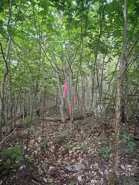 11 South Oakfield Road Houlton, ME 04730 - Photo 15 of 22 IMG_5042