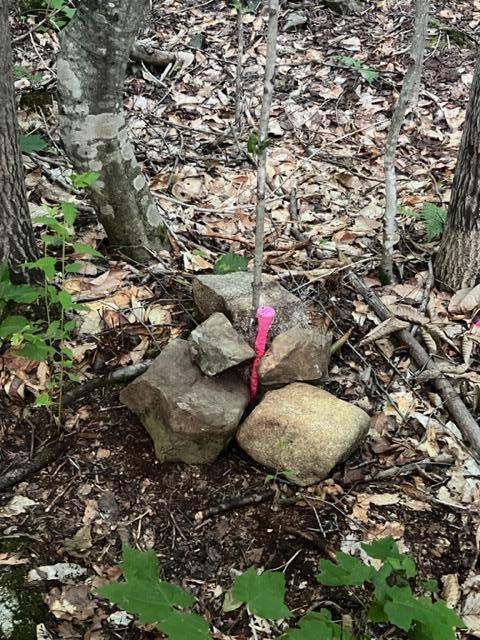 11 South Oakfield Road Houlton, ME 04730 - Photo 16 of 22 IMG_5043