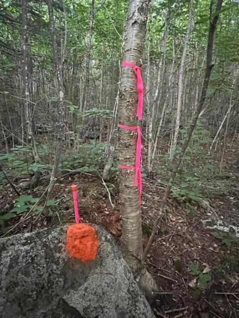 11 South Oakfield Road Houlton, ME 04730 - Photo 17 of 22 IMG_5052