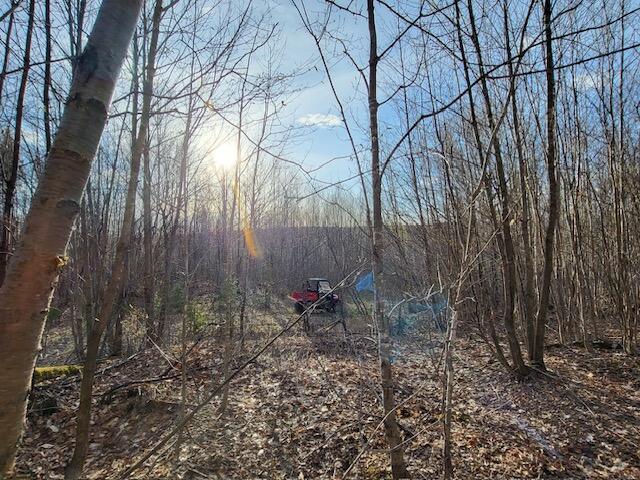 11 South Oakfield Road Houlton, ME 04730 - Photo 21 of 22 Resized_20230505_181007