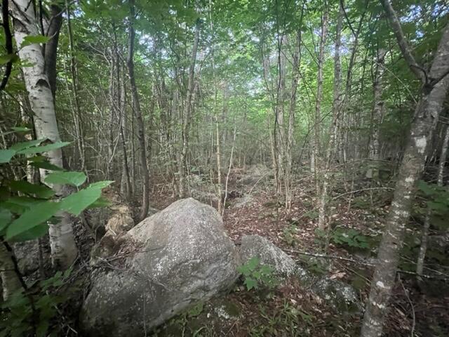 11 South Oakfield Road Houlton, ME 04730 - Photo 3 of 22 IMG_5048