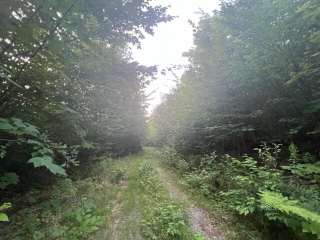 11 South Oakfield Road Houlton, ME 04730 - Photo 7 of 22 IMG_5045