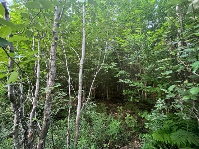 11 South Oakfield Road Houlton, ME 04730 - Photo 8 of 22 IMG_5051