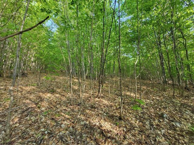 11 South Oakfield Road Houlton, ME 04730 - Photo 9 of 22 Resized_20230530_183705