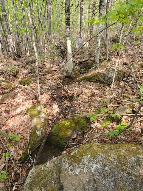 11 South Oakfield Road Houlton, ME 04730 - Photo 10 of 22 Resized_20230521_163502