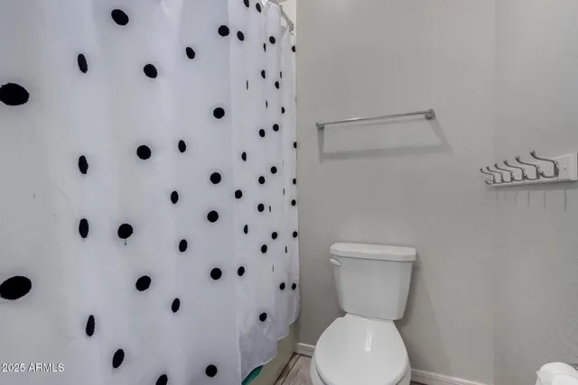 a bathroom with a toilet and a shower