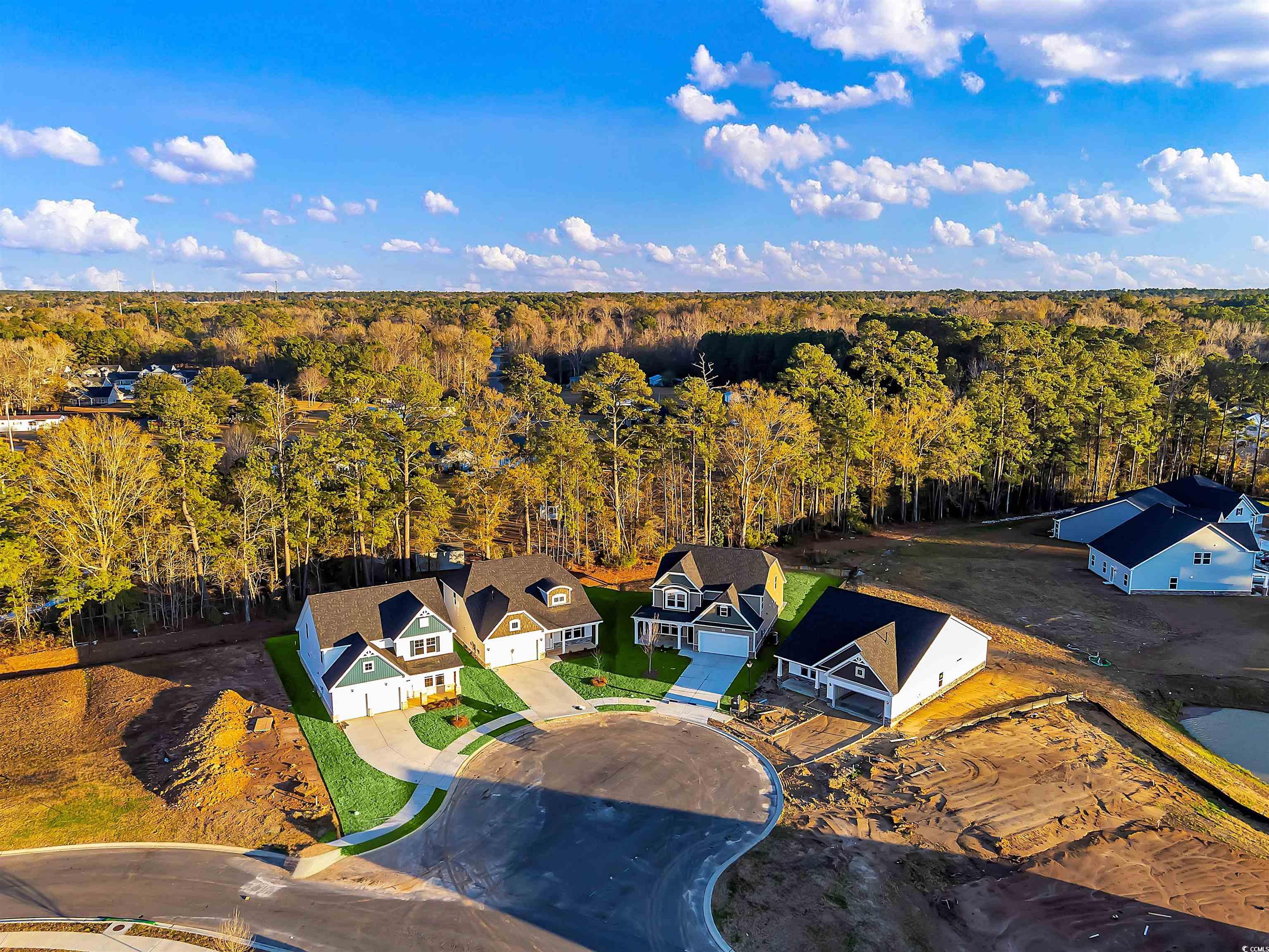 2437 Campton Loop Conway, SC 29527 - Photo 5 of 31 Gallery Image 5