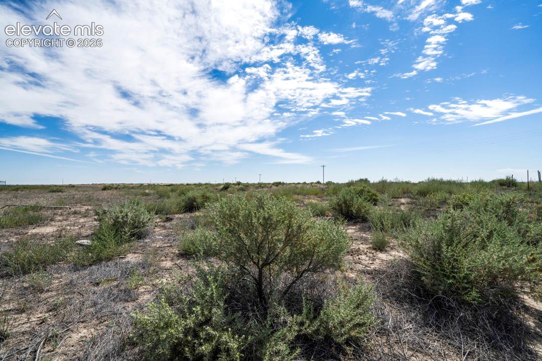 41751 Harbour Road Avondale, CO 81022 - Photo 21 of 41 Gallery Image 21
