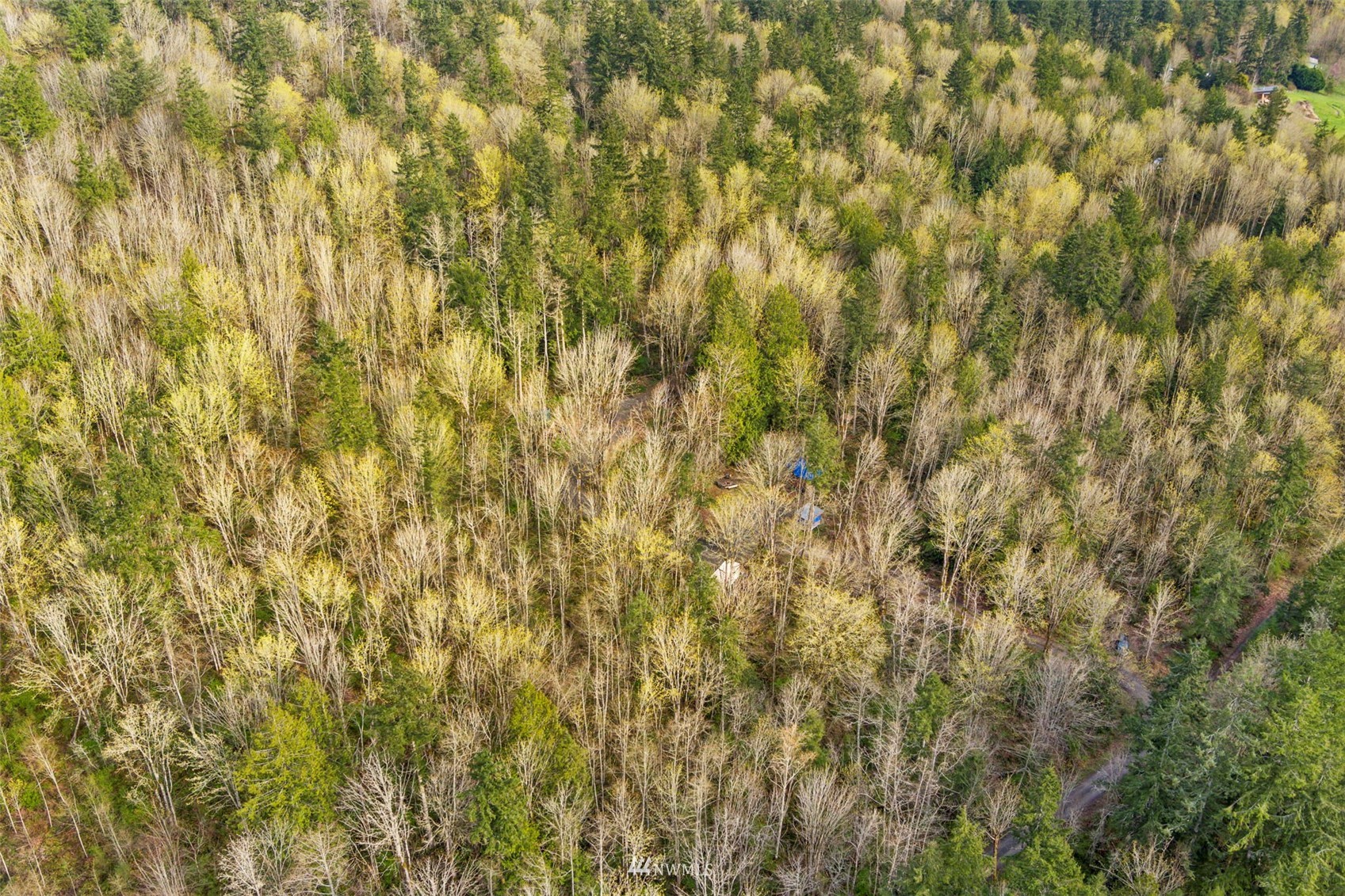 277 Rana Road Chimacum, WA 98325 - Photo 18 of 21 a view of a yard