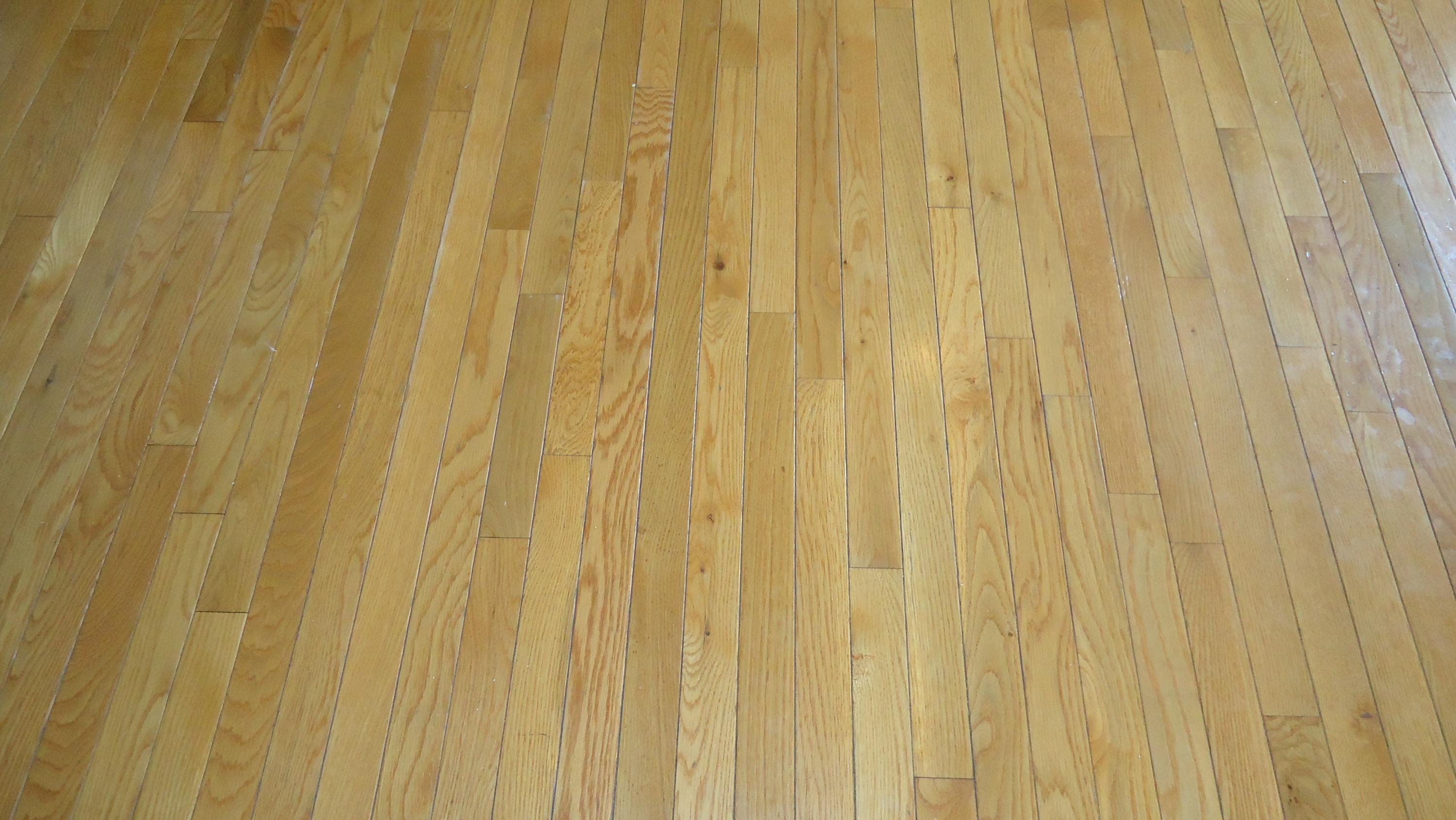 103 Rundle Lane Summerville, SC 29483 - Photo 14 of 30 Hardwood Floors