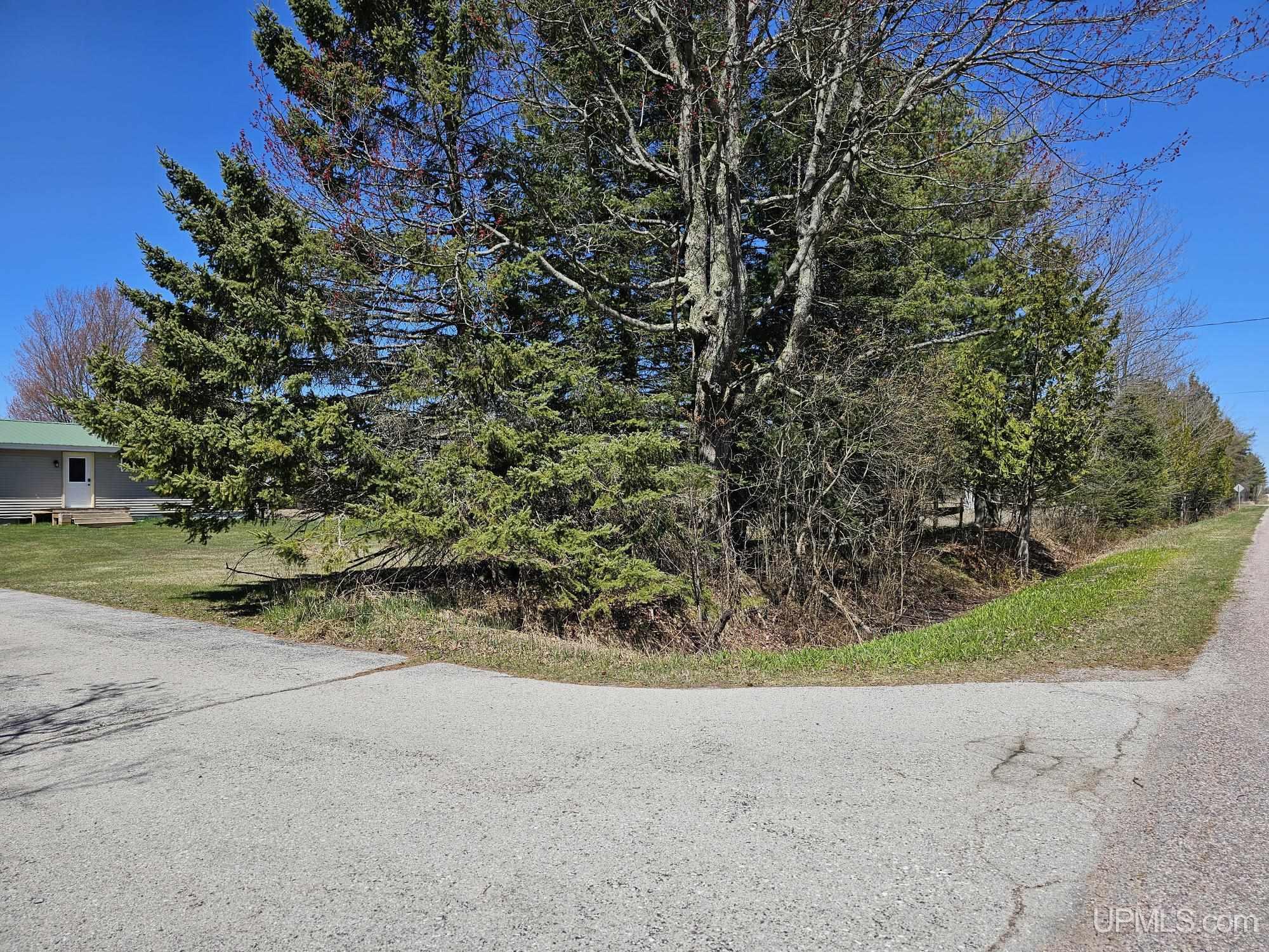 745 North Murphy Lake Road Manistique, MI 49854 - Photo 39 of 40