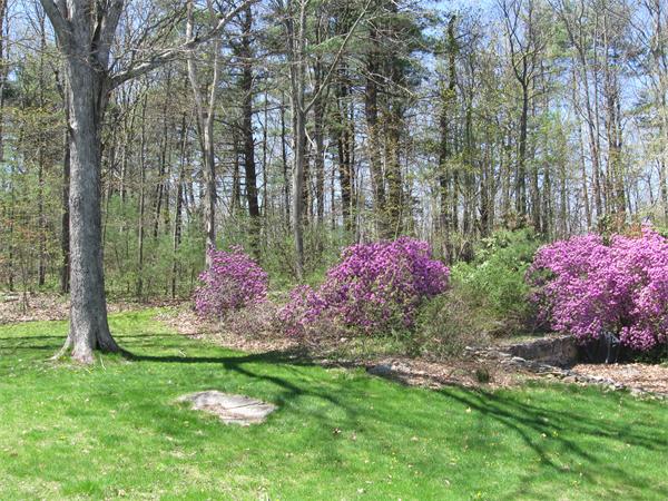 252 Putnam Hill Road Sutton, MA 01590 - Photo 3 of 15 Gallery Image 3