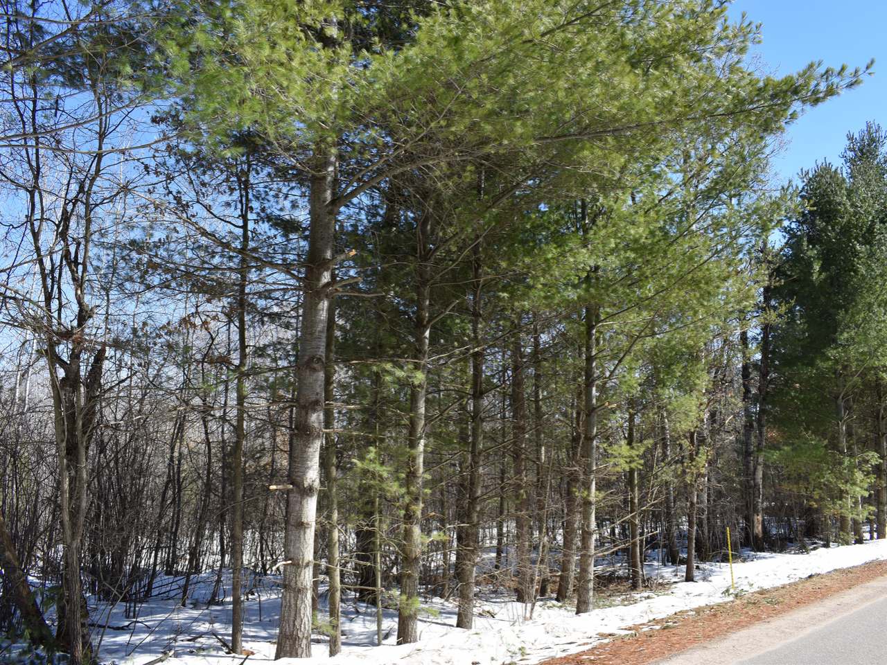 N10246 South Pine Road, Unit LOT2 Tomahawk, WI 54487 - Photo 12 of 20 Gallery Image 12