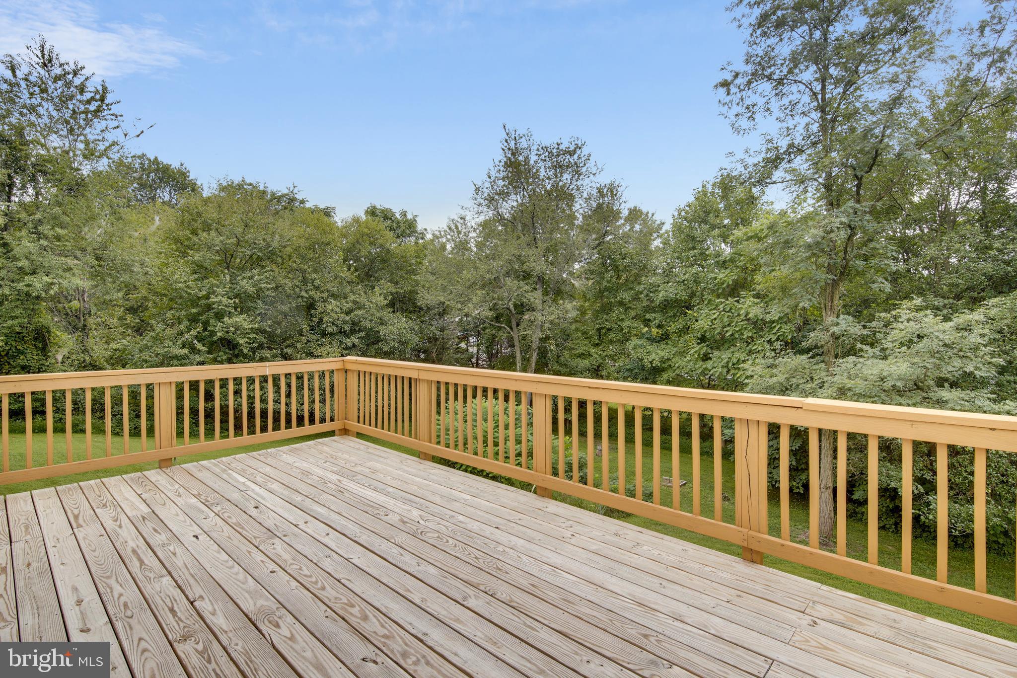 3668 Ridgeview Road Ijamsville, MD 21754 - Photo 13 of 44 brand new deck.