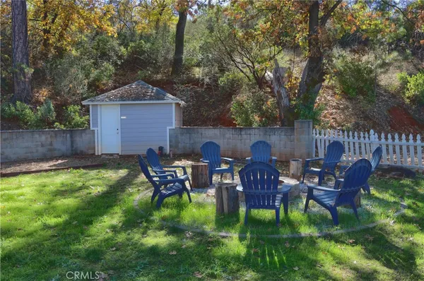 a view of a dry yard with large trees