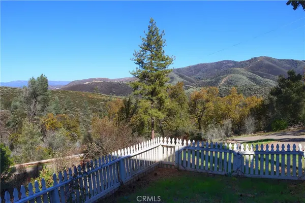 a view of a lush green hillside and a forest