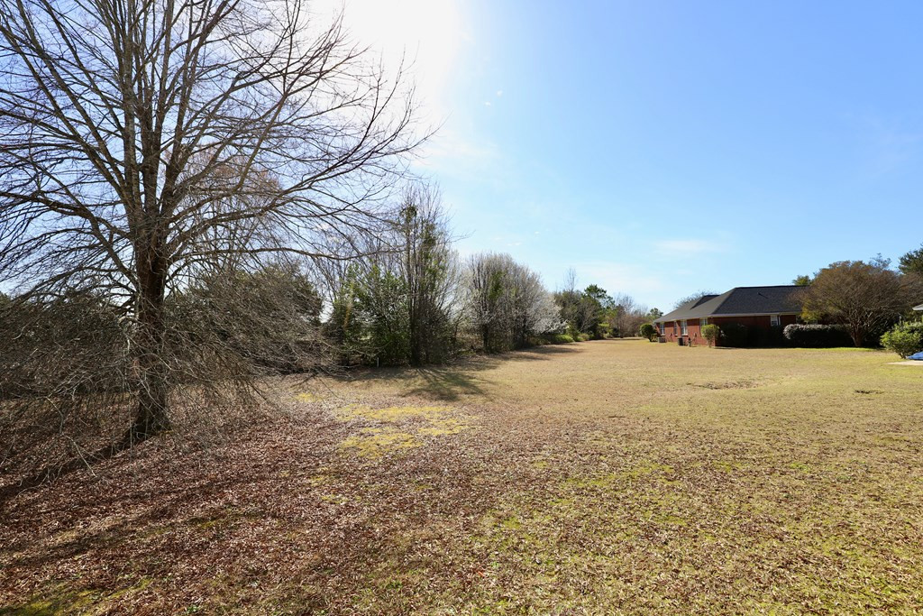 20 Landmark Court Sumter, SC 29154 - Photo 53 of 58