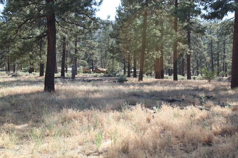 0 Tunnel Spring Road Mountain Center, CA 92561 - Photo 13 of 18 IMG_4765