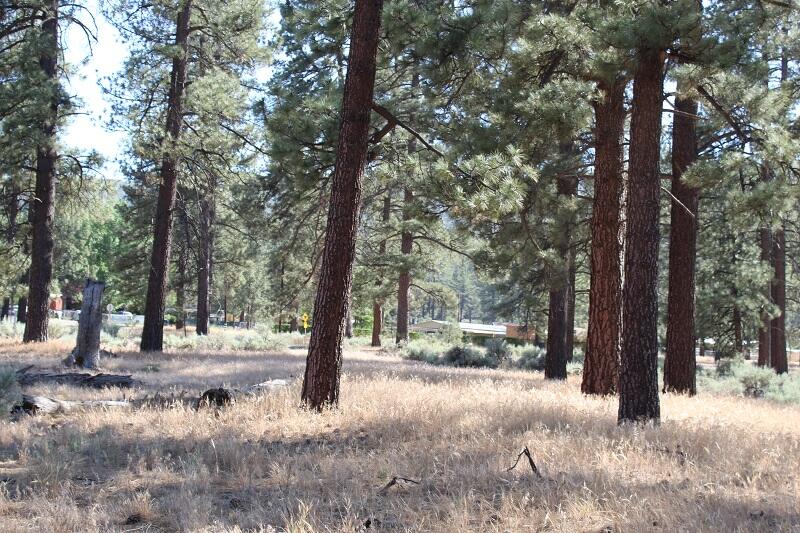 0 Tunnel Spring Road Mountain Center, CA 92561 - Photo 16 of 18 IMG_4768