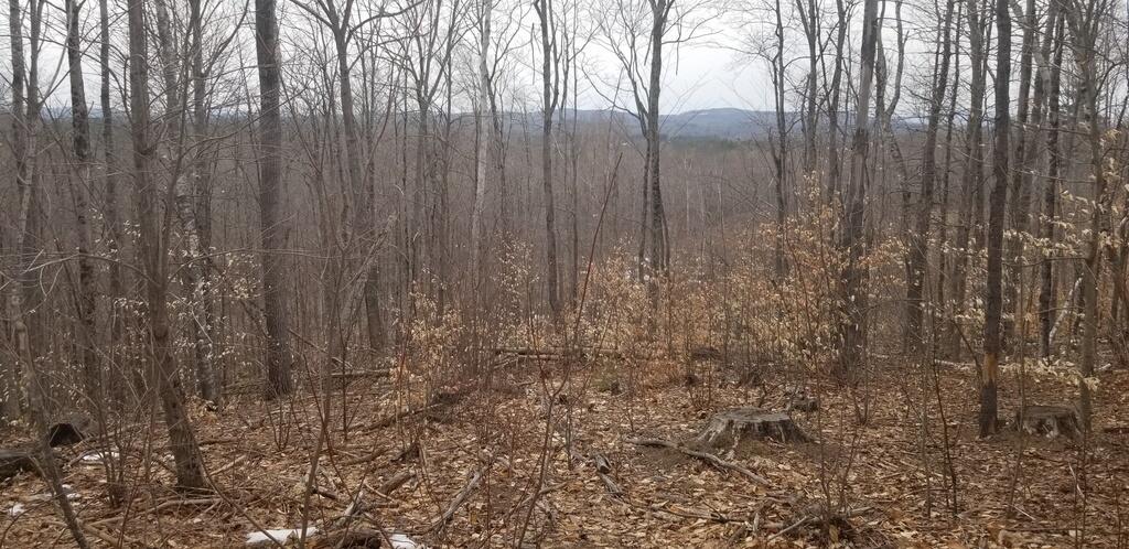 Lot 42-43 Adams Road Chesterville, ME 04938 - Photo 1 of 19 20230411_142600_resized