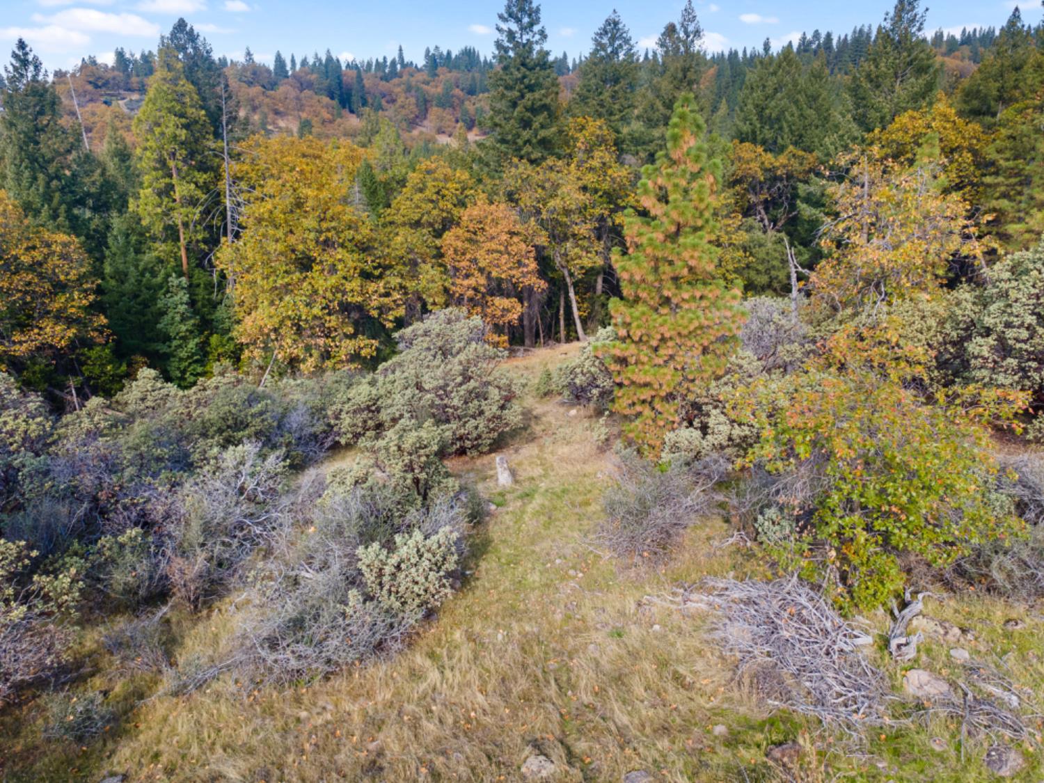0 Starkes Grade Road Pollock Pines, CA 95726 - Photo 17 of 23