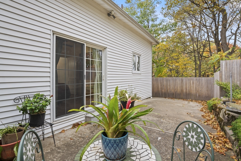 31 Madison Street Lynn, MA 01902 - Photo 27 of 30 a potted plant sitting in front of a house