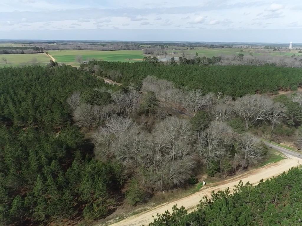 140/ Cty Road Headland, AL 36345 - Photo 33 of 33