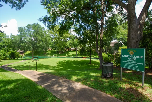 a view of a park with large trees