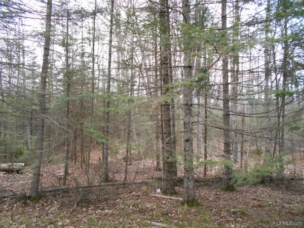 $65,000 | Tbd Tbd M-28 Highway, Newberry, MI 49868