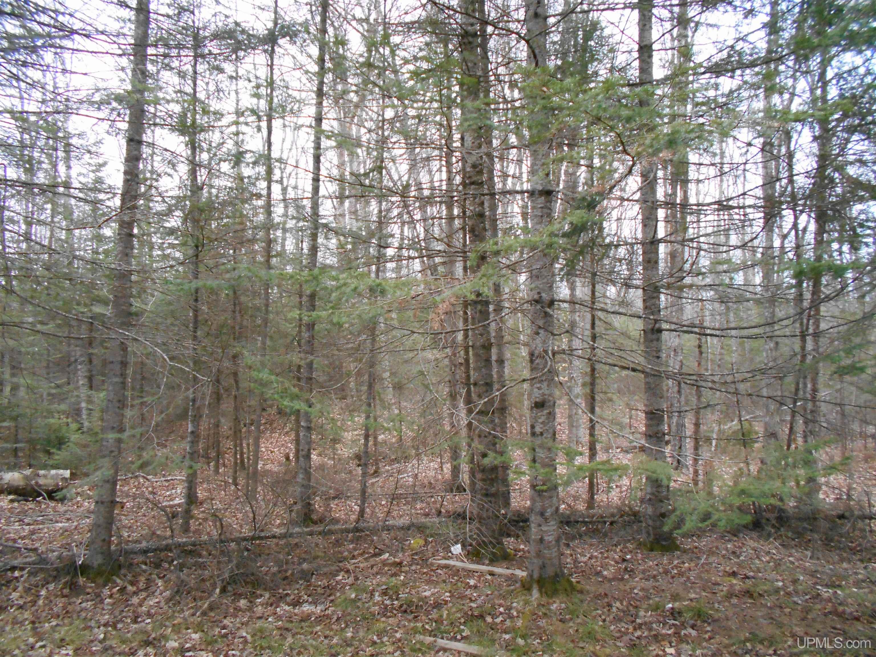 2965 S Little Harbor Road Manistique, MI 49854 - Photo 7 of 17