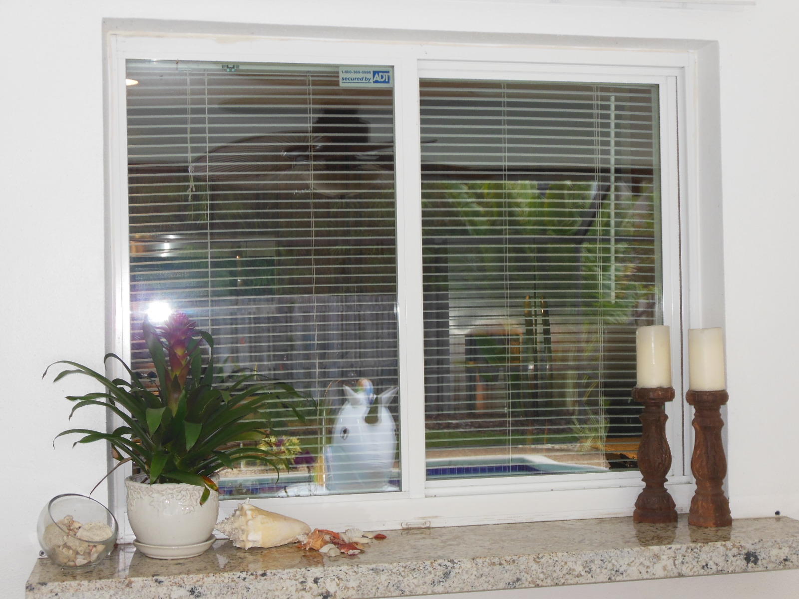 1365 Southwest 12th Avenue Boca Raton, FL 33486 - Photo 29 of 36 Pass Through Window
