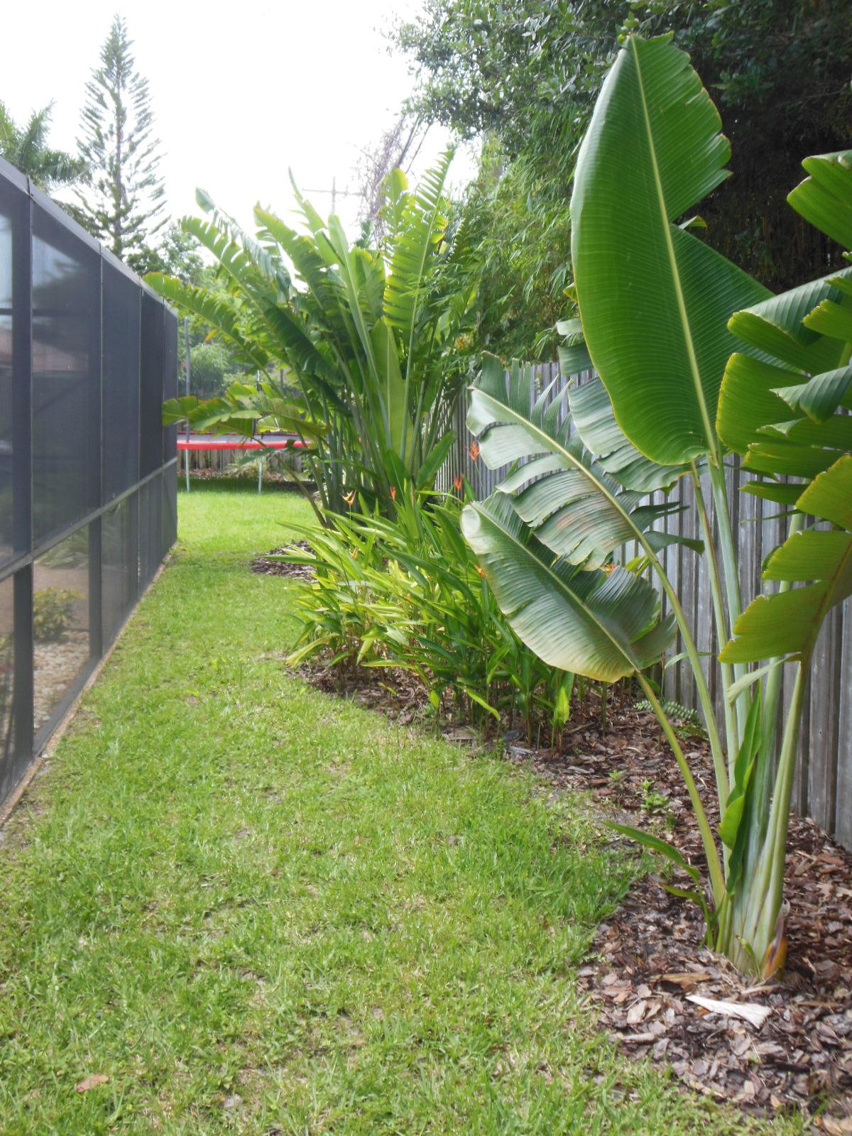 1365 Southwest 12th Avenue Boca Raton, FL 33486 - Photo 35 of 36 Back Yard