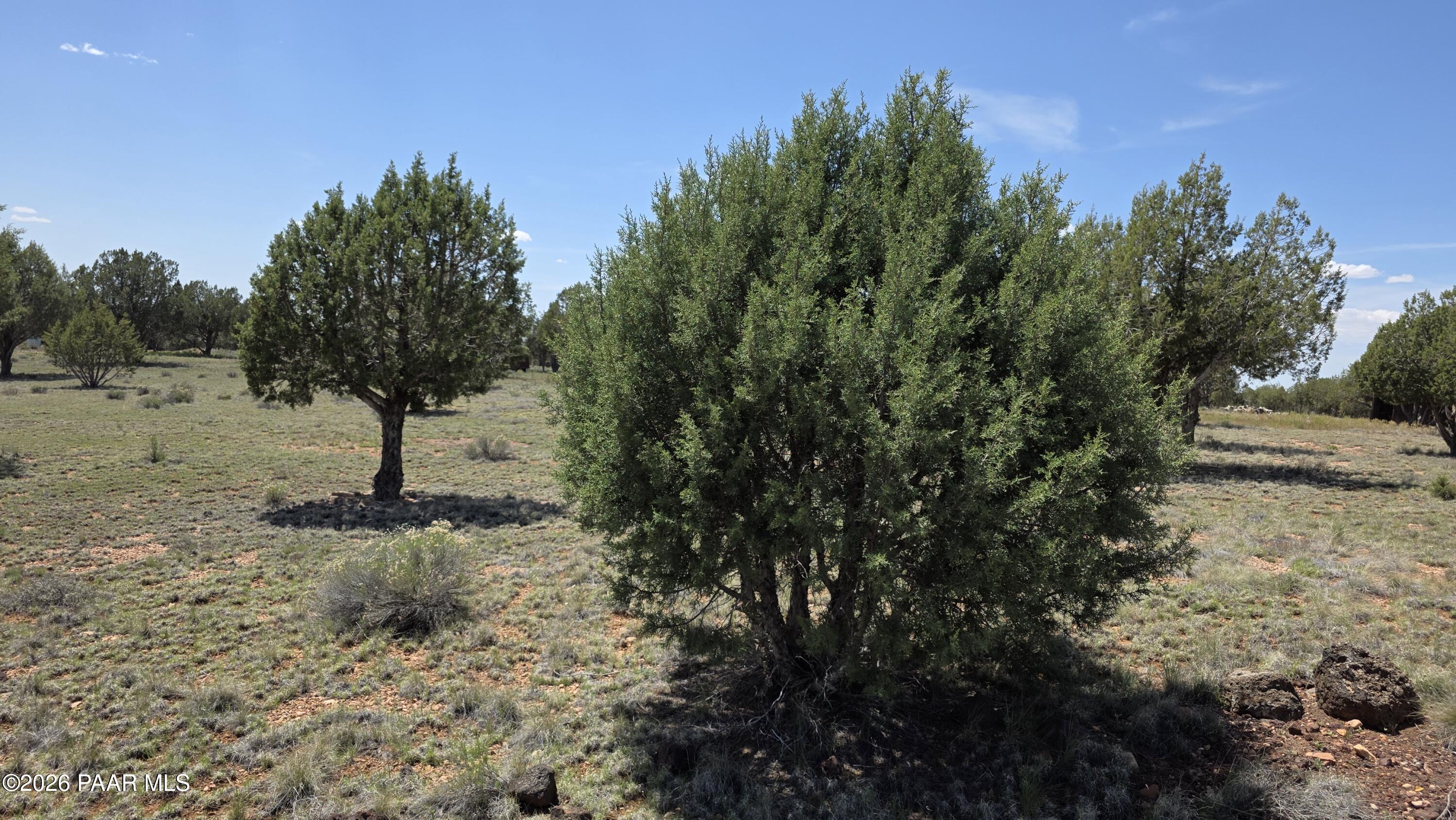 5992 Sevens Ranch Road Williams, AZ 86046 - Photo 9 of 19 20260420_124126
