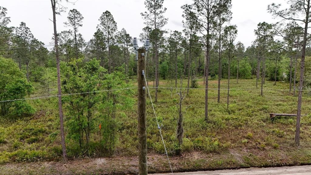 25 Southeast A Se County Road White Springs, FL 32096 - Photo 17 of 18 a view of a green field