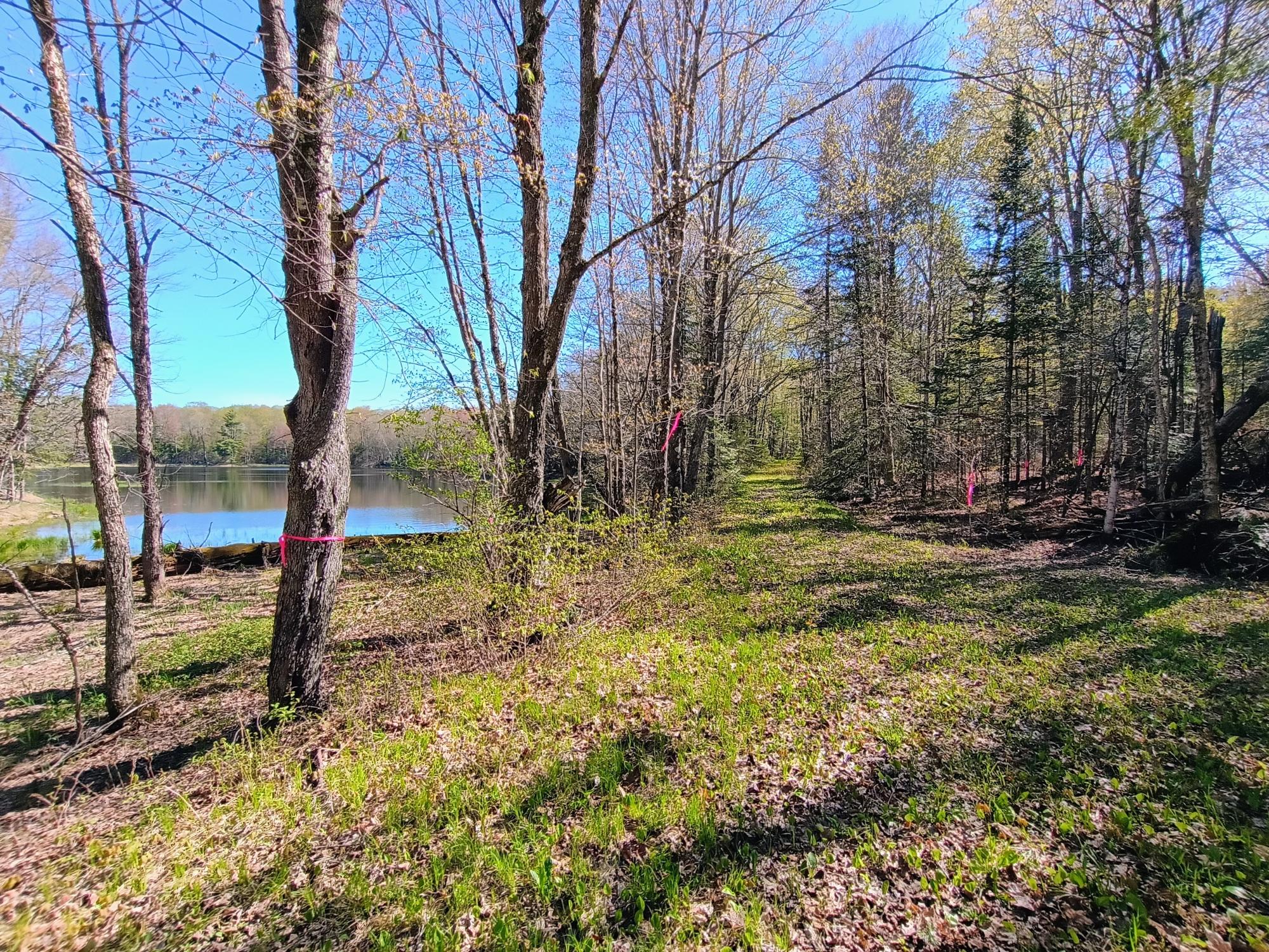 40-ac On Nig Rein Road, Unit 40 AC Glidden, WI 54527 - Photo 6 of 26 Gallery Image 6