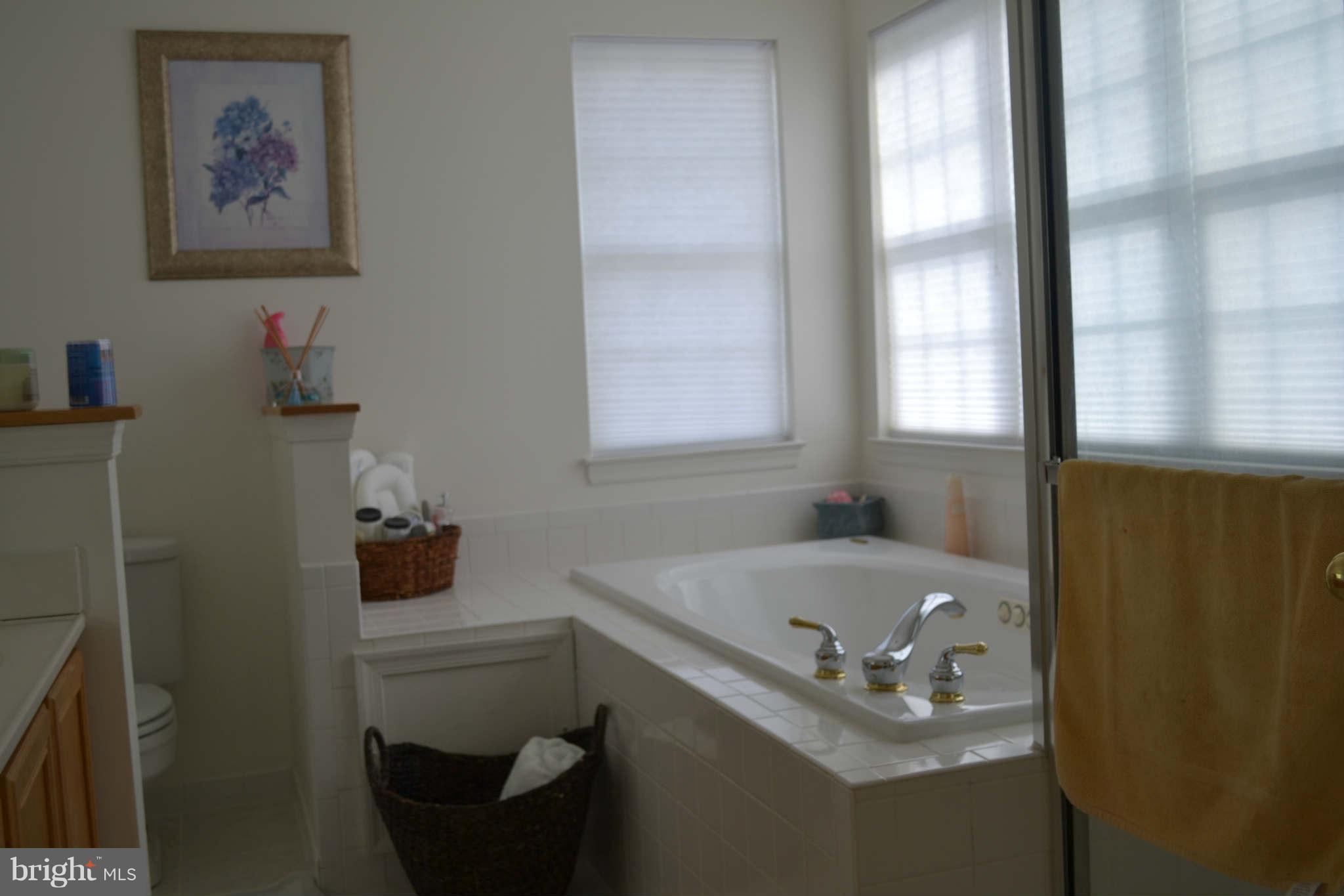 786 Sunny Chapel Road Odenton, MD 21113 - Photo 8 of 20 Bath (Master)
