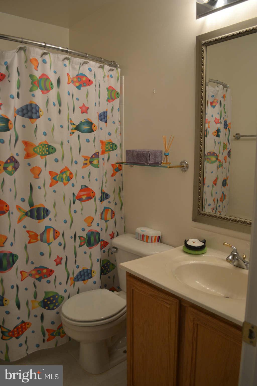 786 Sunny Chapel Road Odenton, MD 21113 - Photo 10 of 20 Bath
