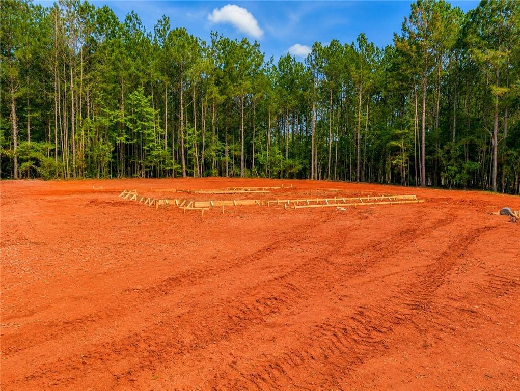 1527 Lantuck Road Valley, AL 36854 - Photo 2 of 3 Gallery Image 2