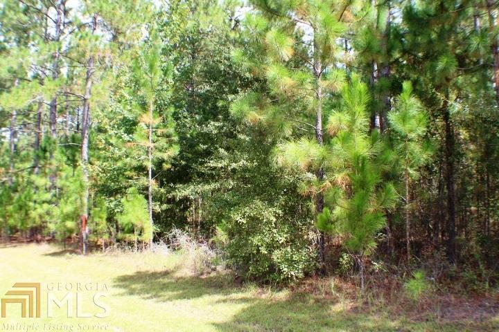 0 Payne Road, Unit 12 Dublin, GA 31021 - Photo 1 of 1