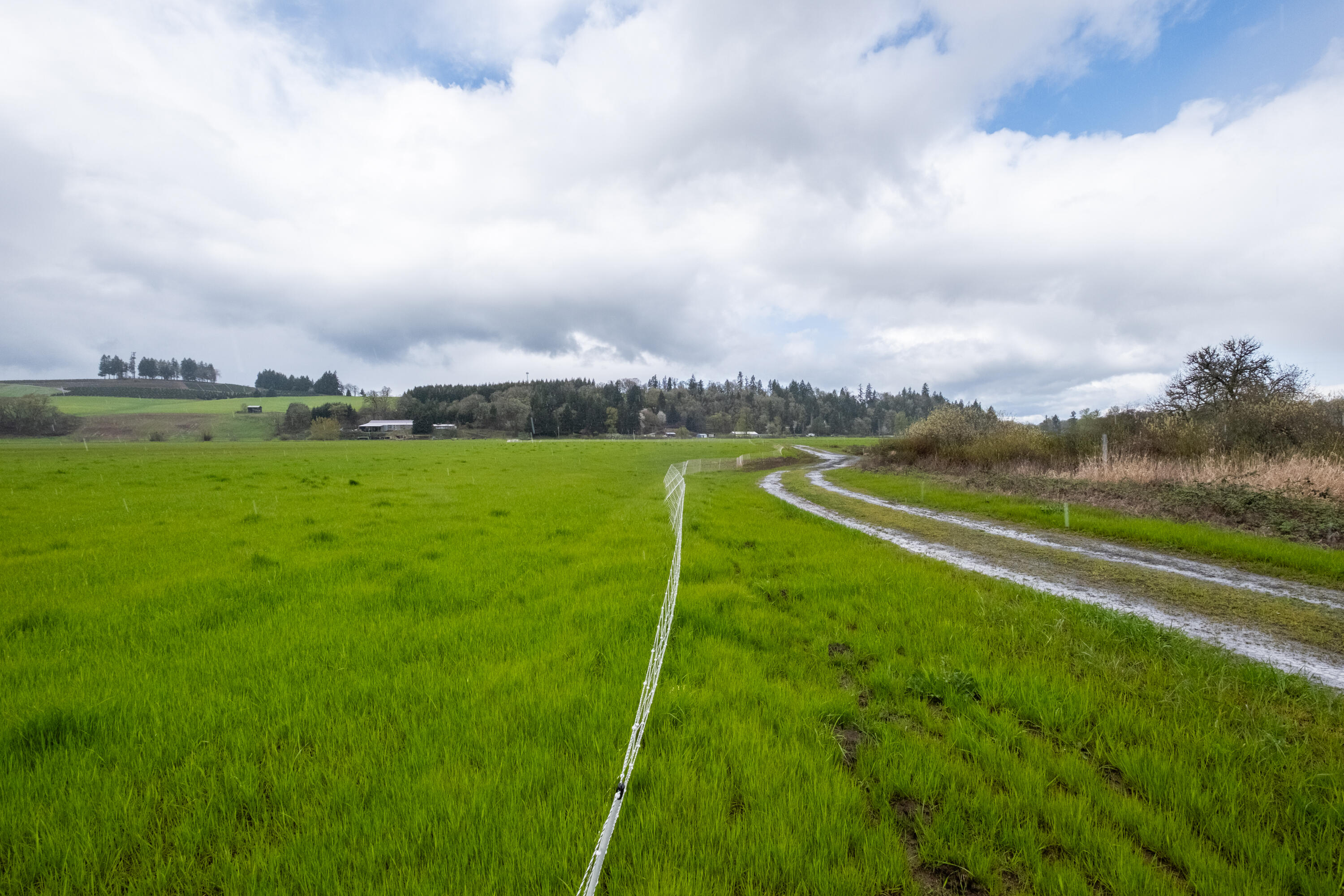 0 Applegate Trail Junction City, OR 97448 - Photo 17 of 27 a view of a golf course with a lake