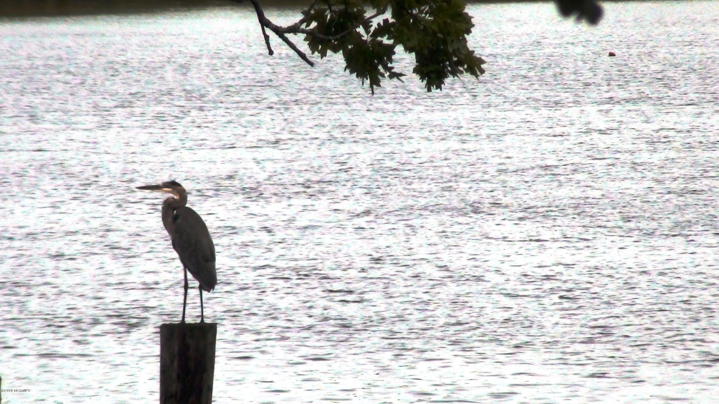 Lot 8 Creek Pointe Road New Bern, NC 28560 - Photo 6 of 13 Blue Heron3