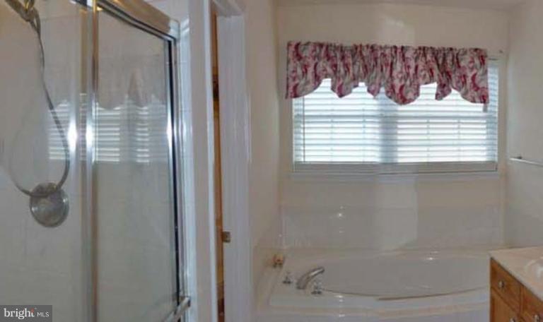 6089 Deer Ridge Trail Springfield, VA 22150 - Photo 17 of 30 a bathroom with a glass shower door