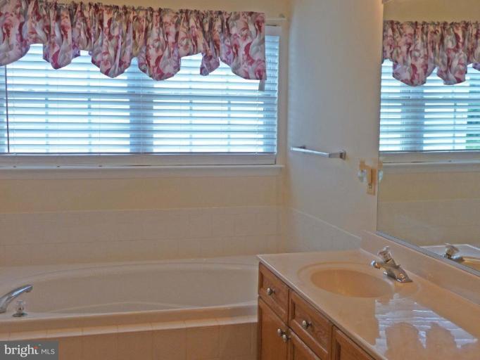 6089 Deer Ridge Trail Springfield, VA 22150 - Photo 18 of 30 a bathroom with a sink a bathtub and a window